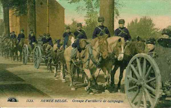 Artillerie  cheval belge - 24 ko